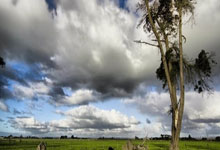 天涯论坛小月月事件：一场被围观的网络狂欢