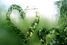 天涯论坛情感天地里的出轨故事：现实版罗密欧与朱丽叶